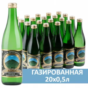 Вода Славяновская МВЖ 20шт по 0,5л